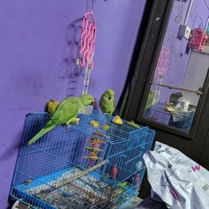 Meet your Posher, Nishu